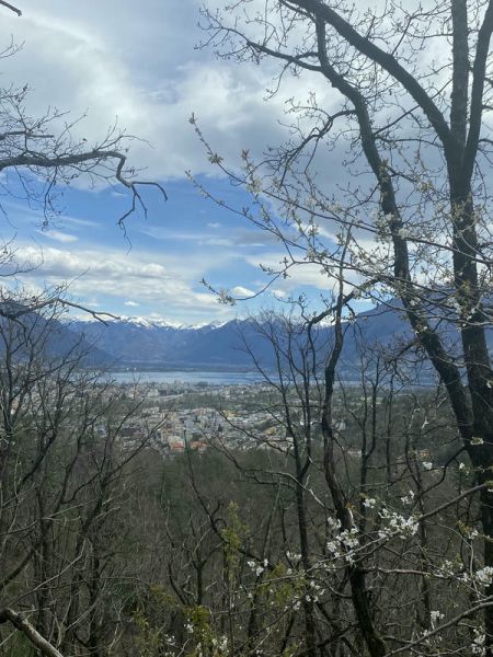 Clicca per vedere l'immagine alla massima grandezza