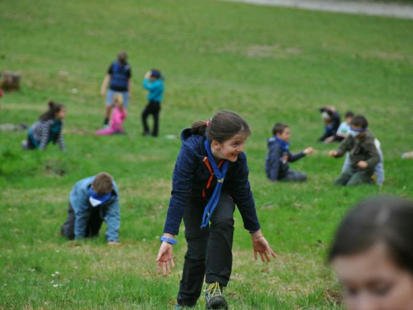 Clicca per vedere l'immagine alla massima grandezza