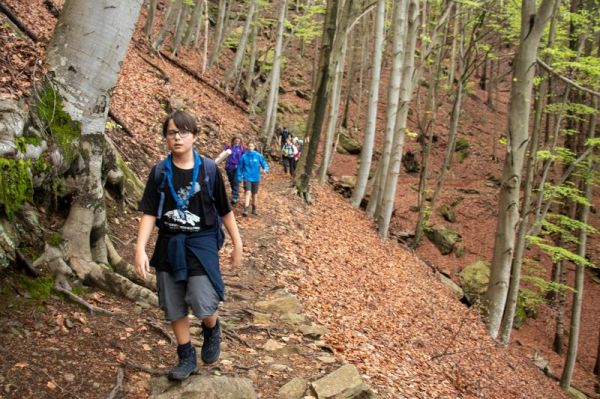 Clicca per vedere l'immagine alla massima grandezza