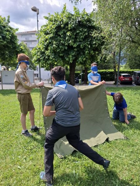 Clicca per vedere l'immagine alla massima grandezza