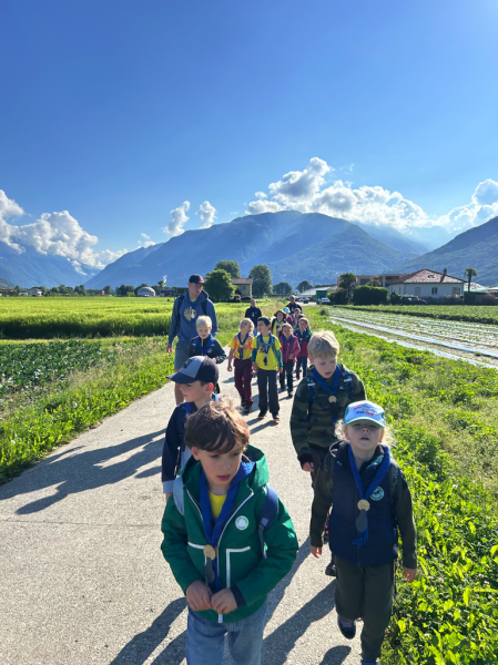 Clicca per vedere l'immagine alla massima grandezza