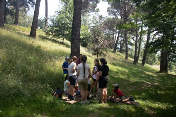 Clicca per vedere l'immagine alla massima grandezza