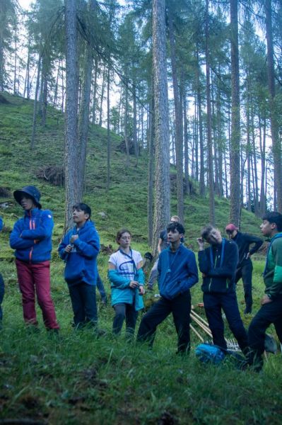 Clicca per vedere l'immagine alla massima grandezza
