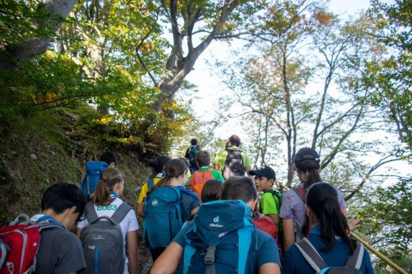 Clicca per vedere l'immagine alla massima grandezza