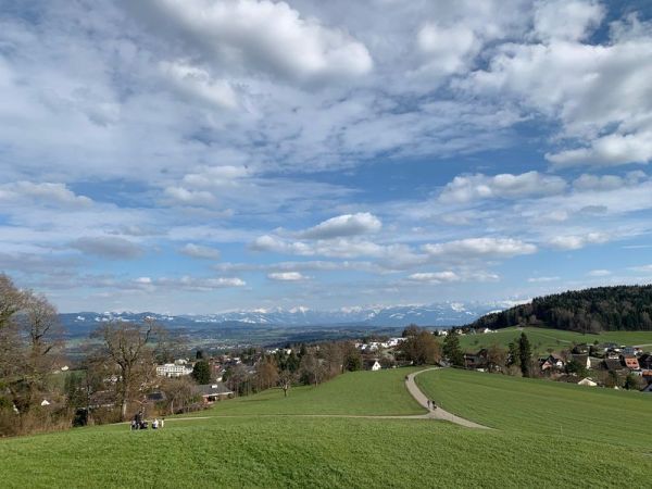 Clicca per vedere l'immagine alla massima grandezza