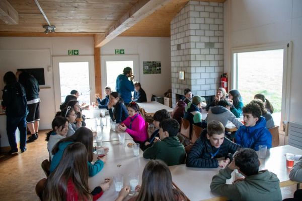 Clicca per vedere l'immagine alla massima grandezza