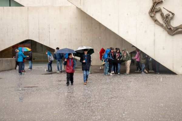 Clicca per vedere l'immagine alla massima grandezza